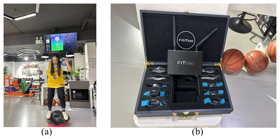 Fig. 2.