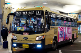 Airport Bus 6017